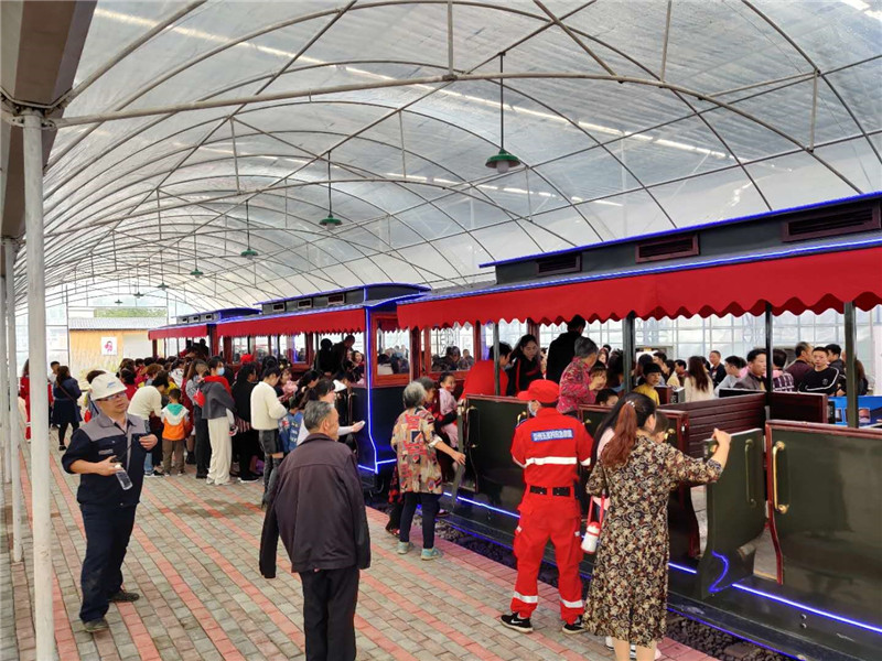 国庆出游新风尚，登山列车魅力现(图5)