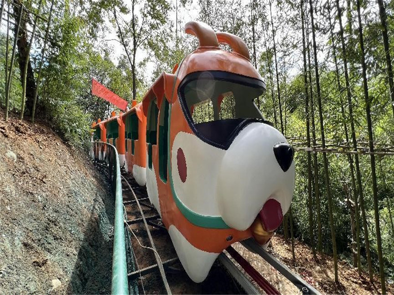 国庆出游新风尚，登山列车魅力现(图6)